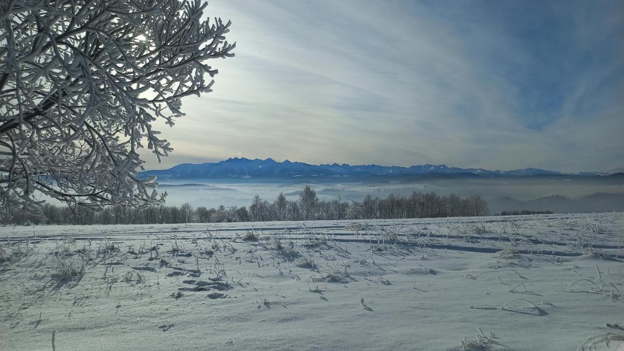U Halinki Czorsztyn Exterior foto